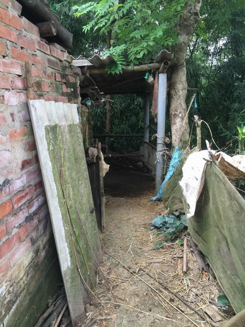 The Inauguration and Handover Ceremony House of Charity to the family Ms. Dinh Thi Dinh by Hoa Phuc Pagoda